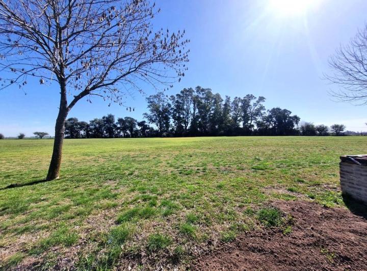 Terreno · 5000m²