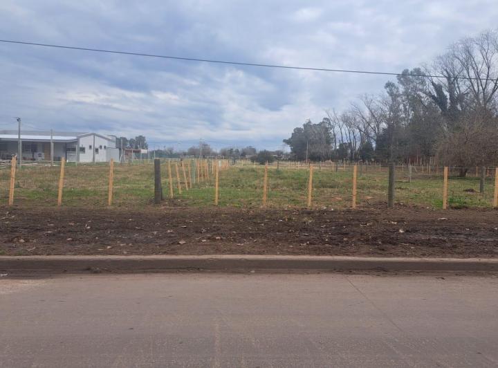 Terreno · 462m²