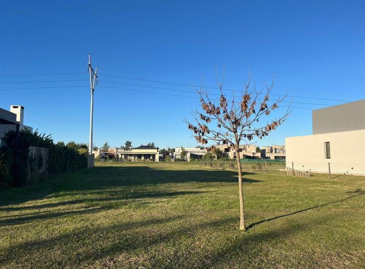 Terreno · 917m²