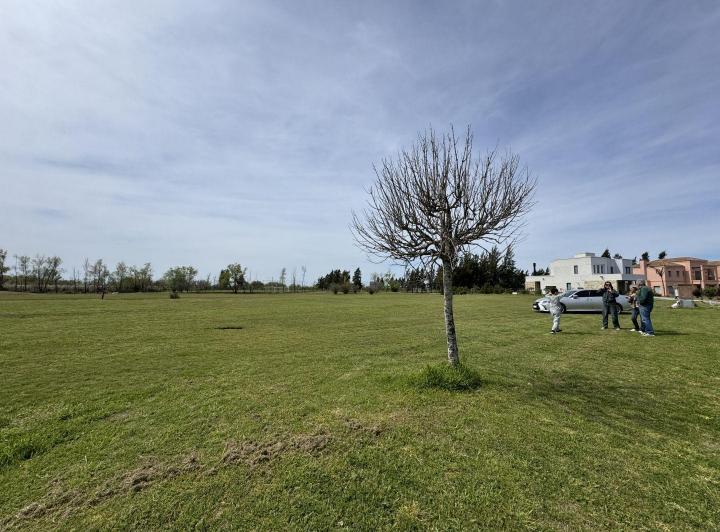 Terreno · 1173m²