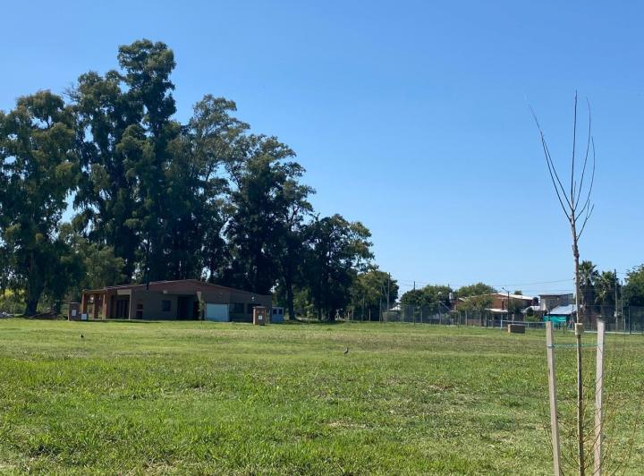 Terreno · 603m²