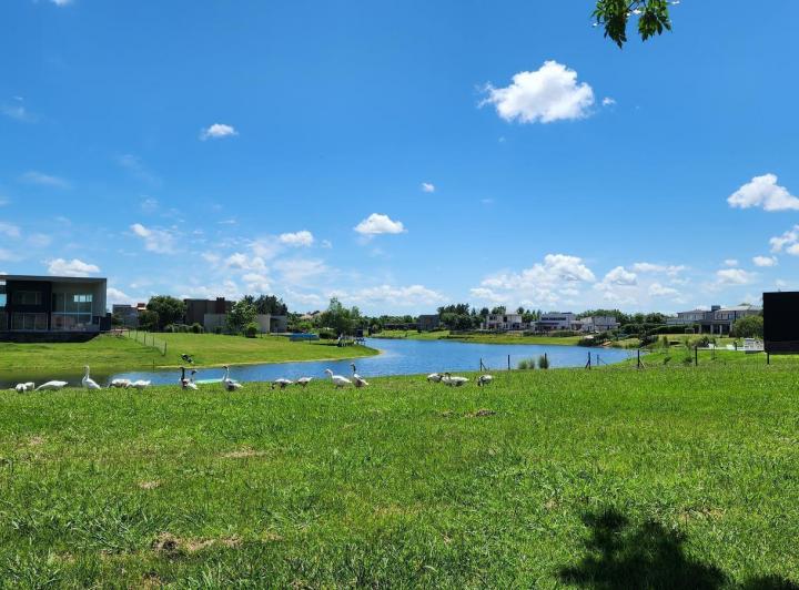 Terreno · 907m²