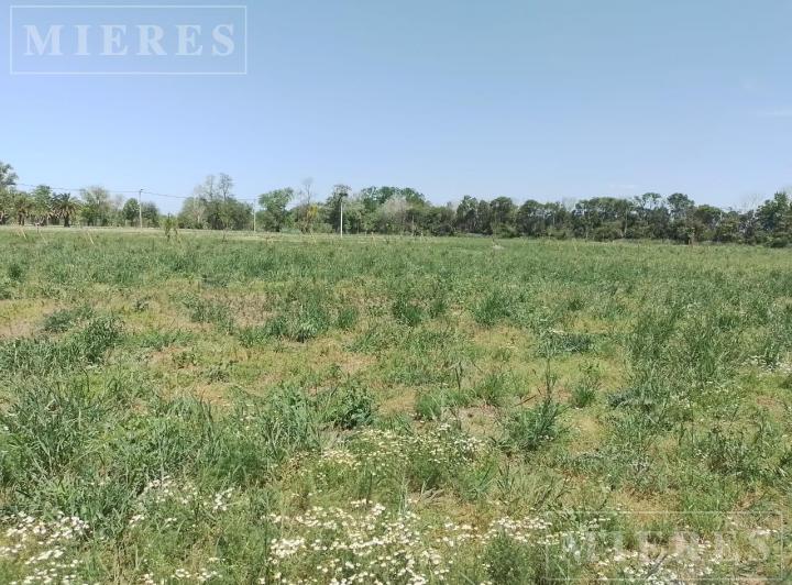 Terreno · 836m²