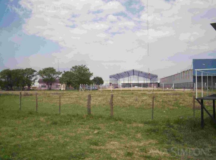 Terreno · 25000m²