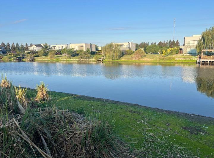 Terreno · 981m²