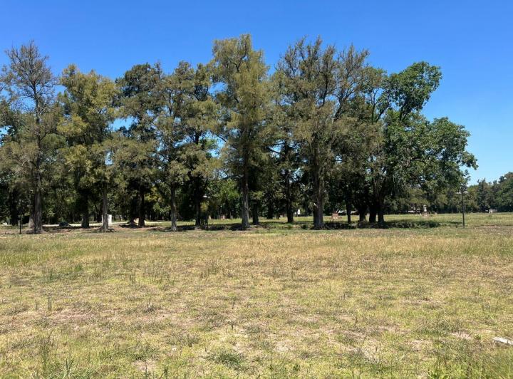 Terreno · 819m²