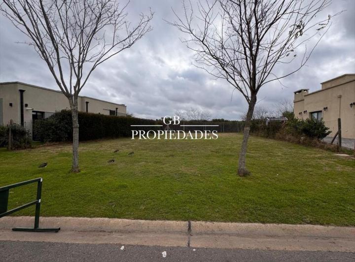 Terreno · 450m²