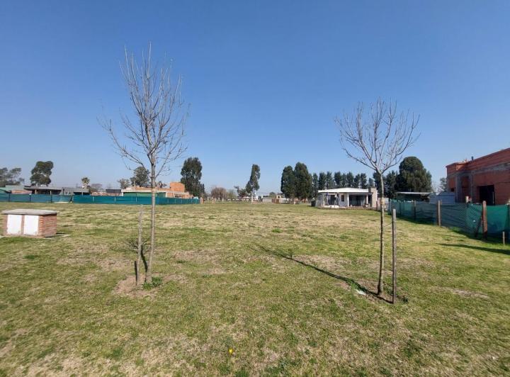 Terreno