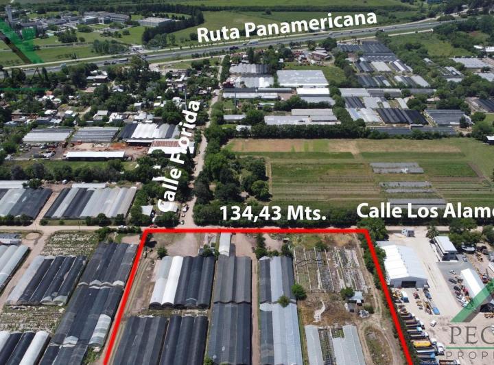 Terreno · 56341m²