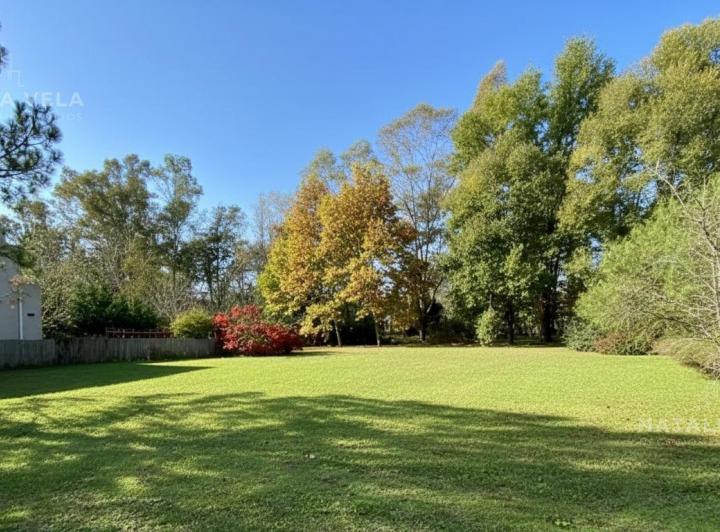 Terreno · 968m²
