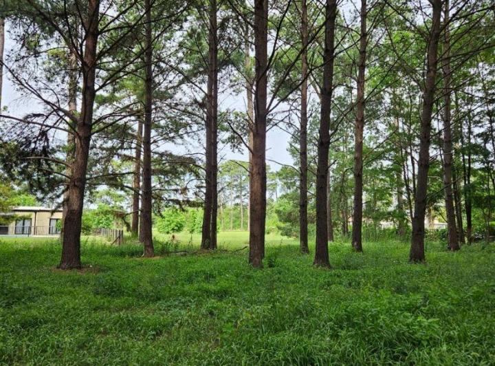 Terreno · 1500m²