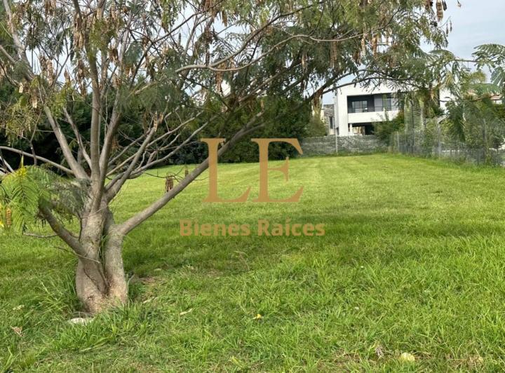 Terreno · 820m²