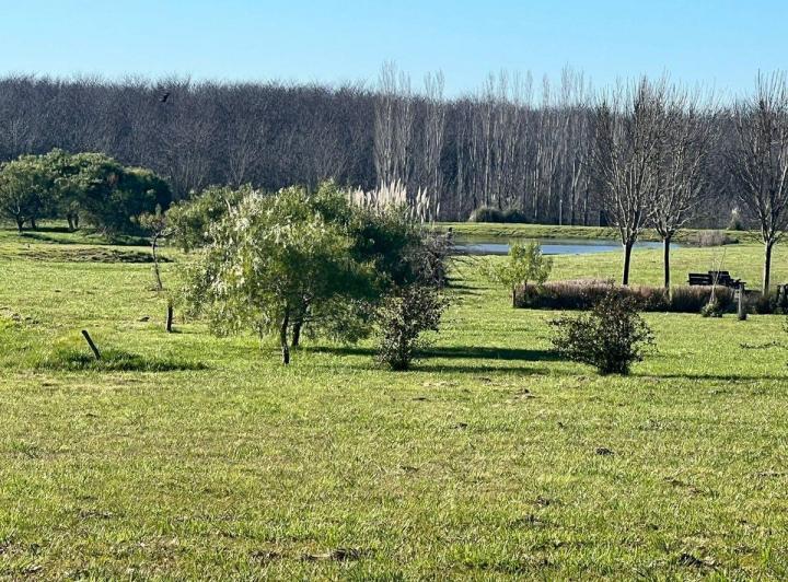 Terreno · 187m²