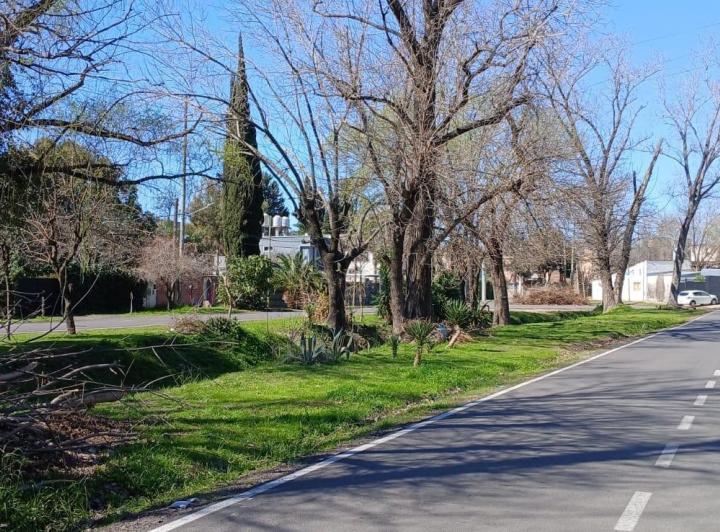 Terreno · 252m²