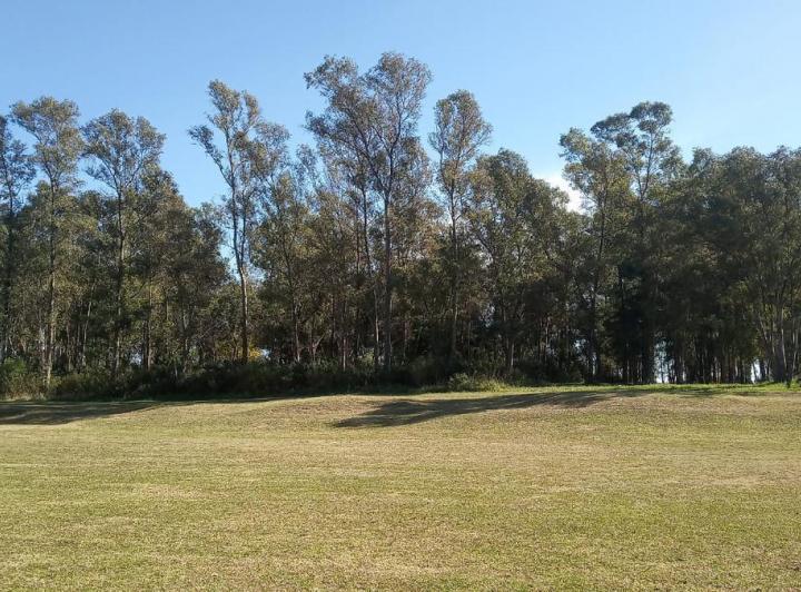 Terreno · 8266m²