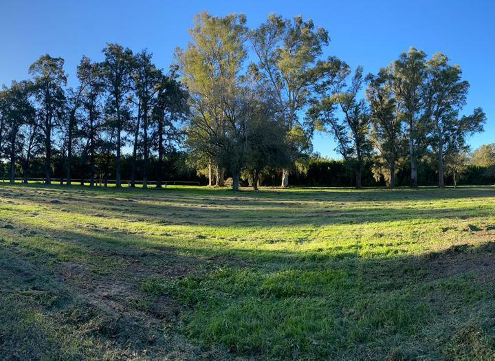 Terreno · 9000m²