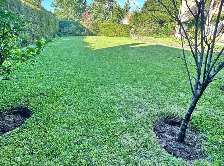 Terreno · 481m²