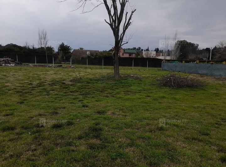 Terreno · 809m²