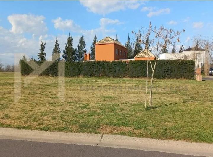 Terreno · 1000m²