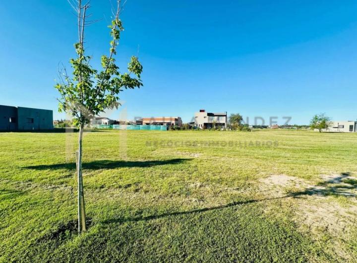 Terreno · 781m²