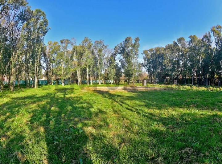 Terreno · 289m²