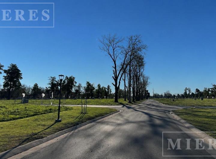 Terreno · 647m²