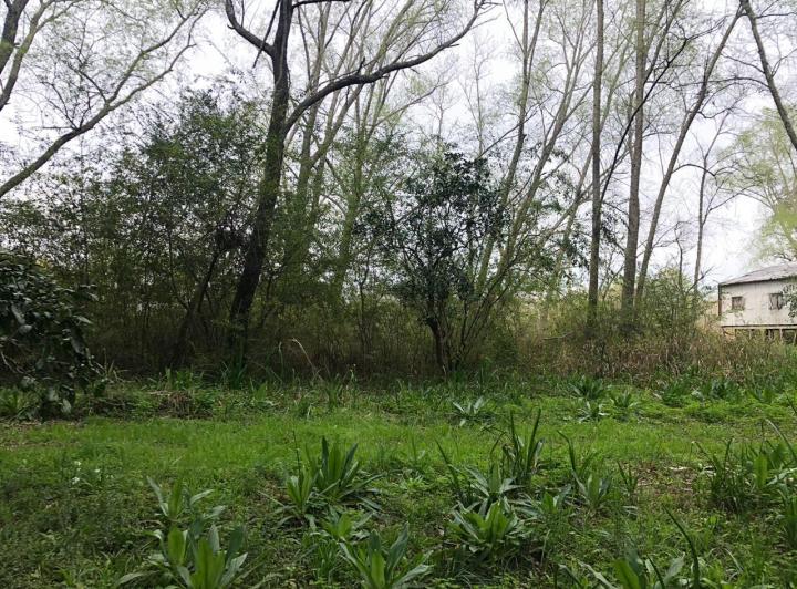 Terreno · 2200m²
