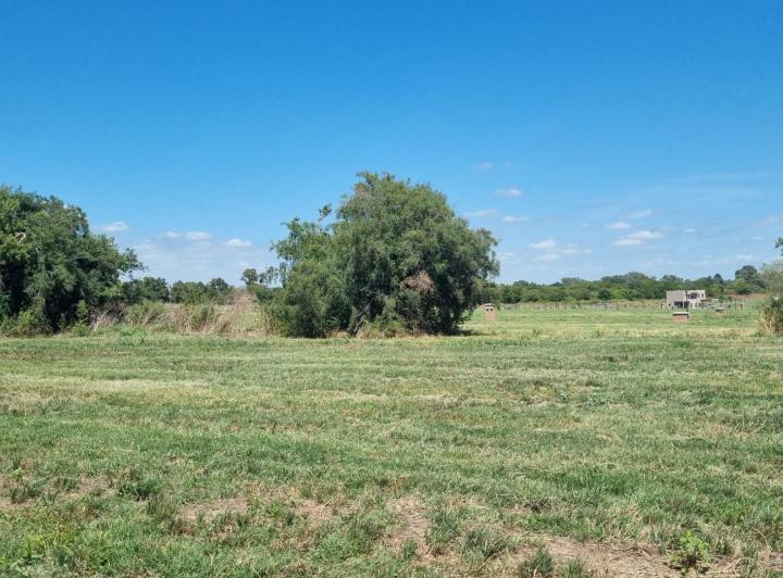 Terreno · 602m²