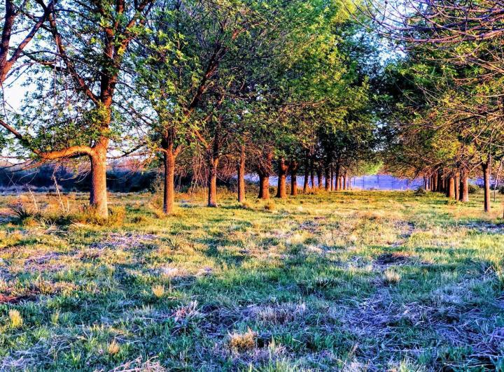 Terreno · 728m²