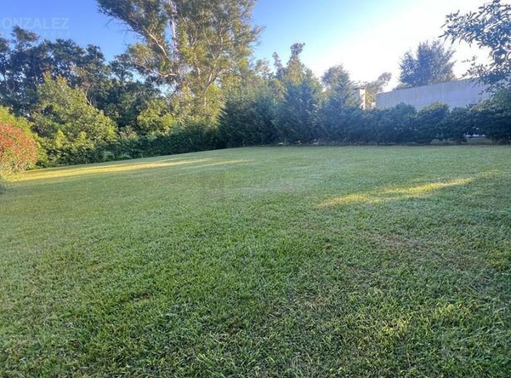 Terreno · 582m²