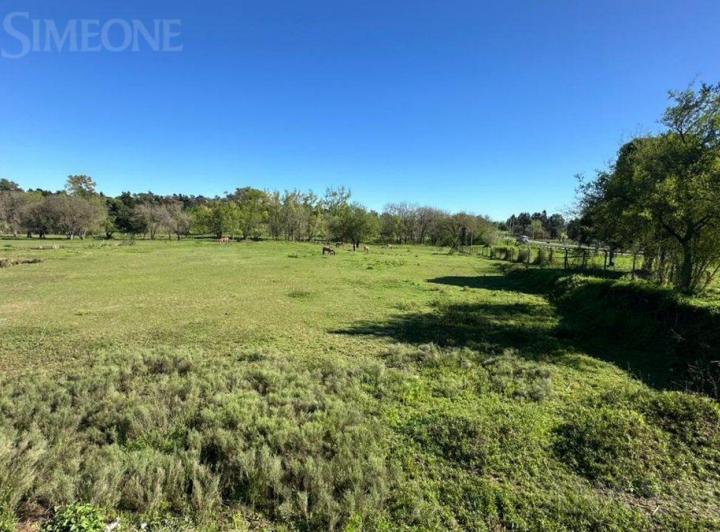 Terreno · 68200m²