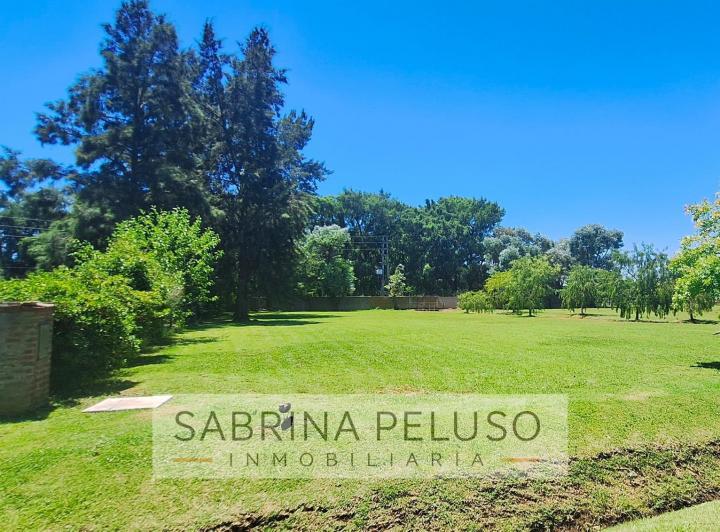 Terreno · 1560m²