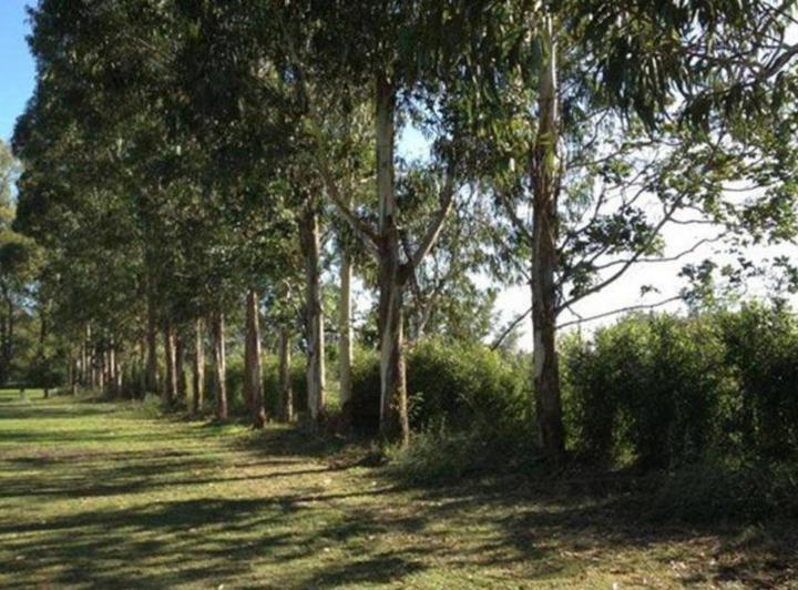 Terreno · 453m²
