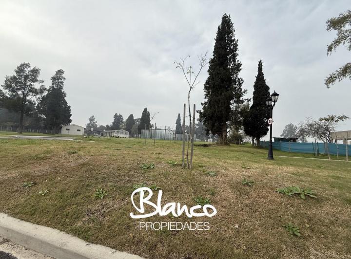 Terreno · 505m²