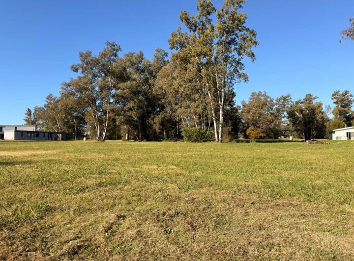 Terreno · 1500m²