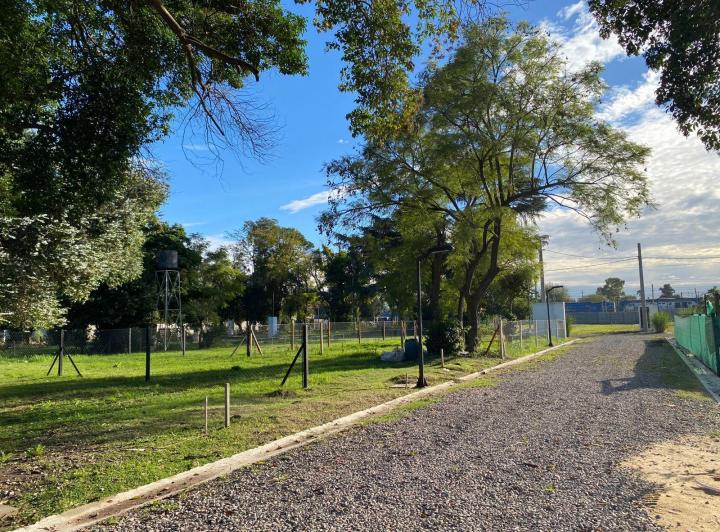 Terreno · 228m²
