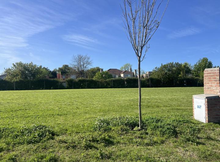 Terreno · 597m²
