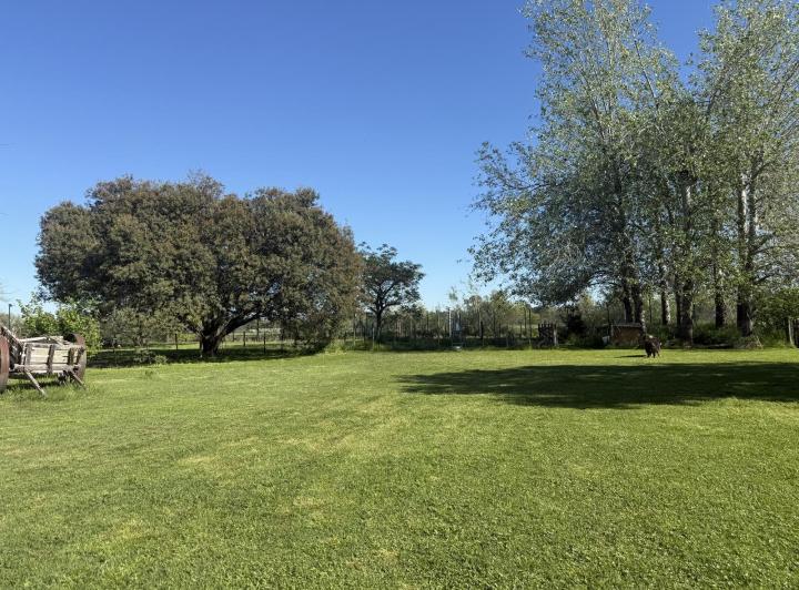 Terreno · 1284m²