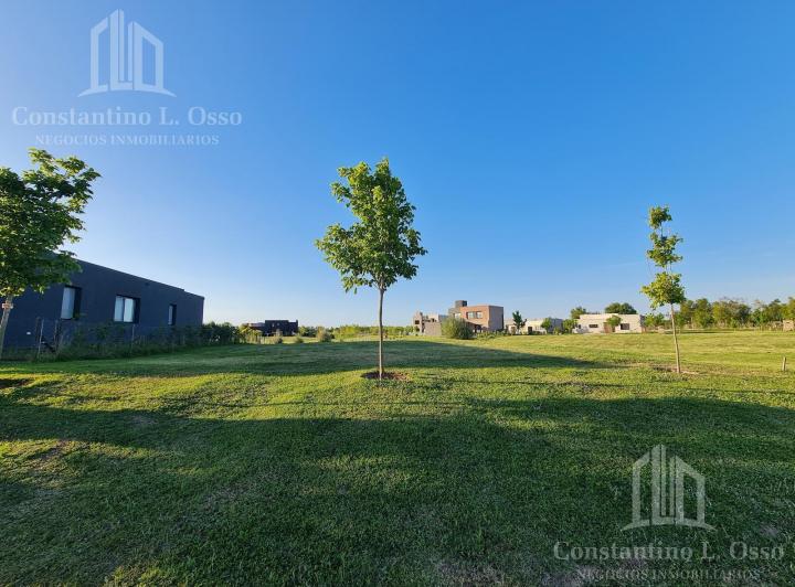Terreno · 837m² · 1 Ambiente