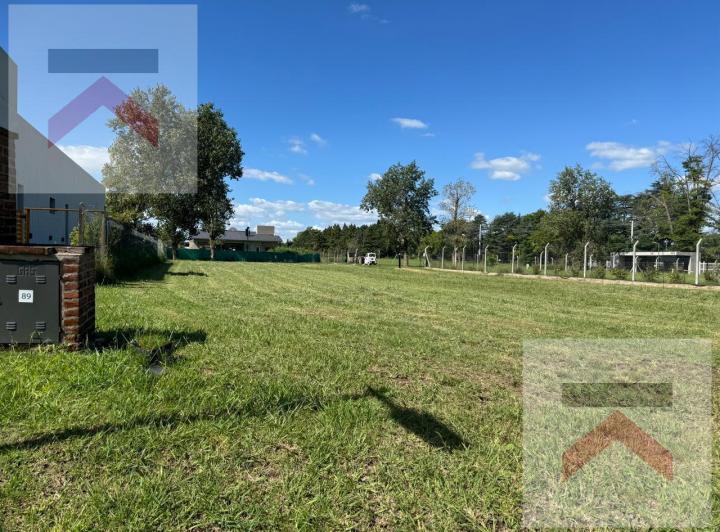 Terreno · 1000m²