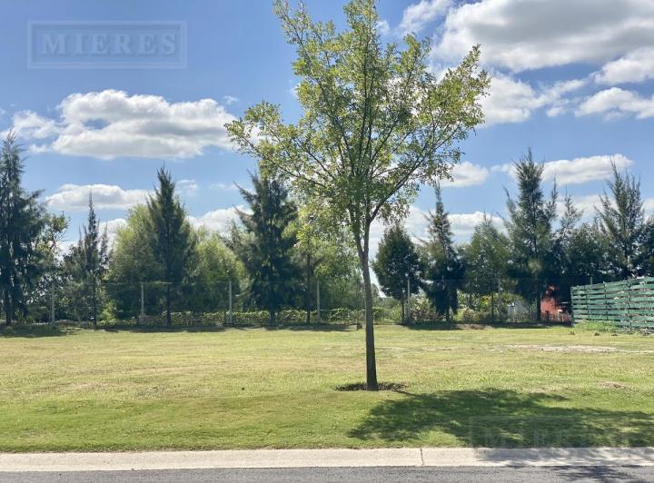 Terreno · 466m²