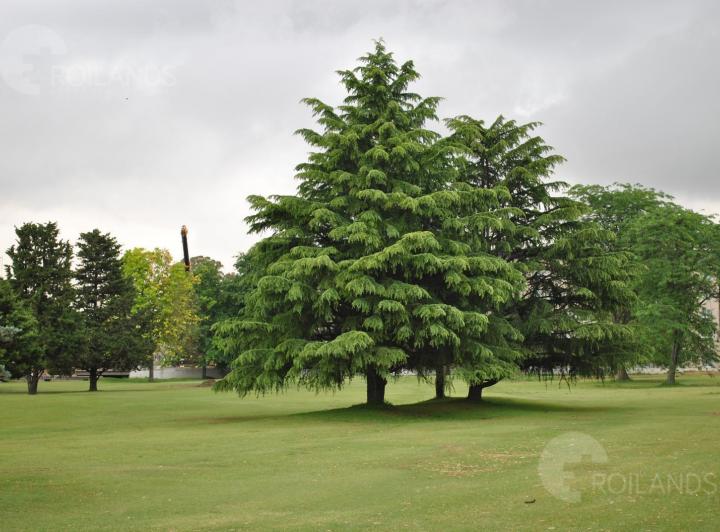 Terreno · 491m²