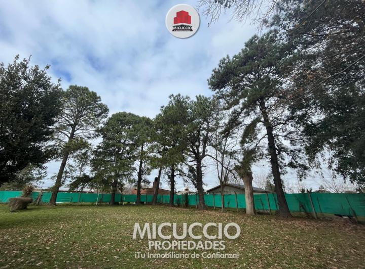 Terreno · 1133m²