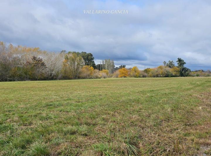 Terreno · 1500m²