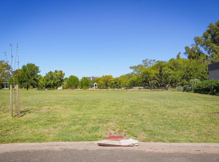 Terreno · 1446m²