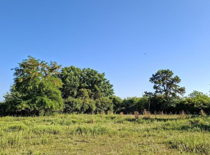 Terreno · 2231m²