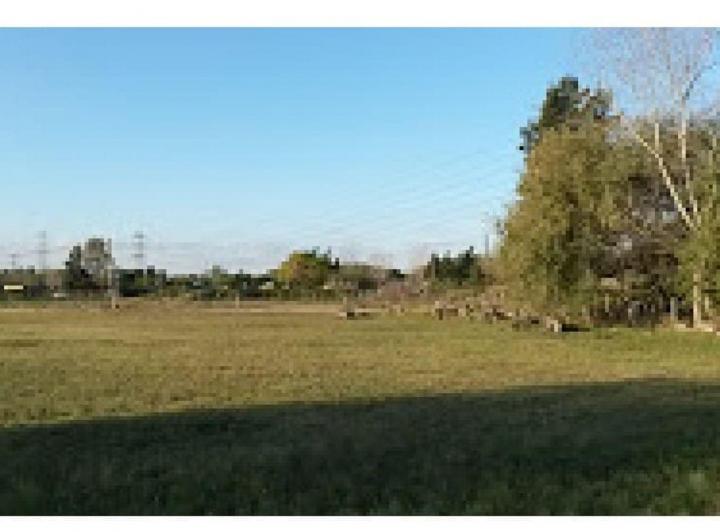 Terreno · 2131m²