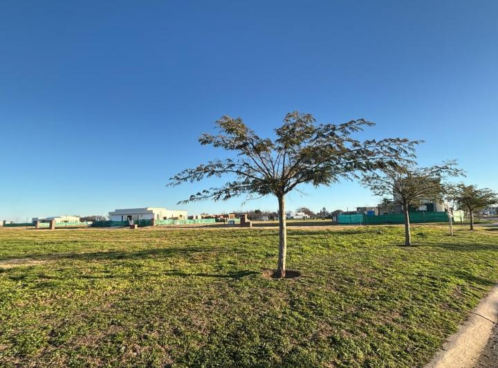 Terreno · 665m²