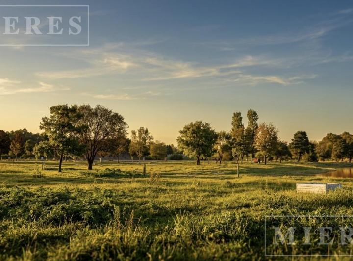 Terreno · 678m²