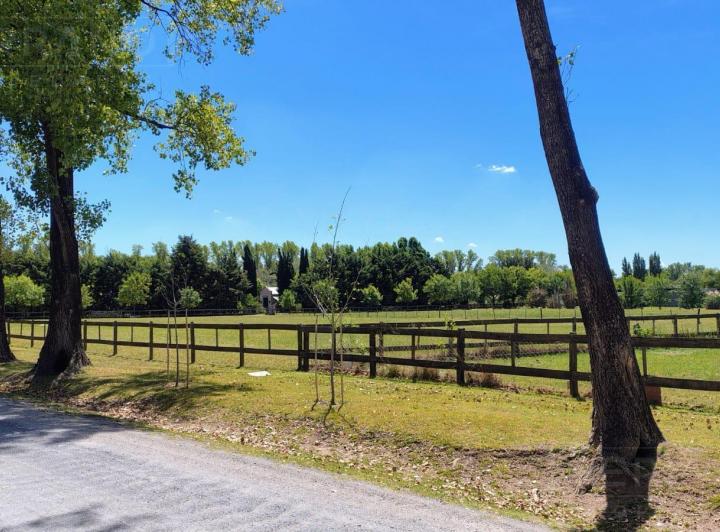 Terreno · 5000m²